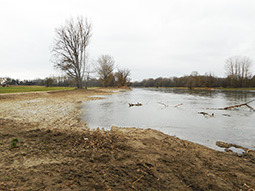 Überflutete Abtragsfläche im Uferbereich mit hoher Standortdynamik
