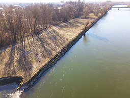 Rechtes Donauufer unterhalb Vohburg vor dem Rückbau (10.03.2022)