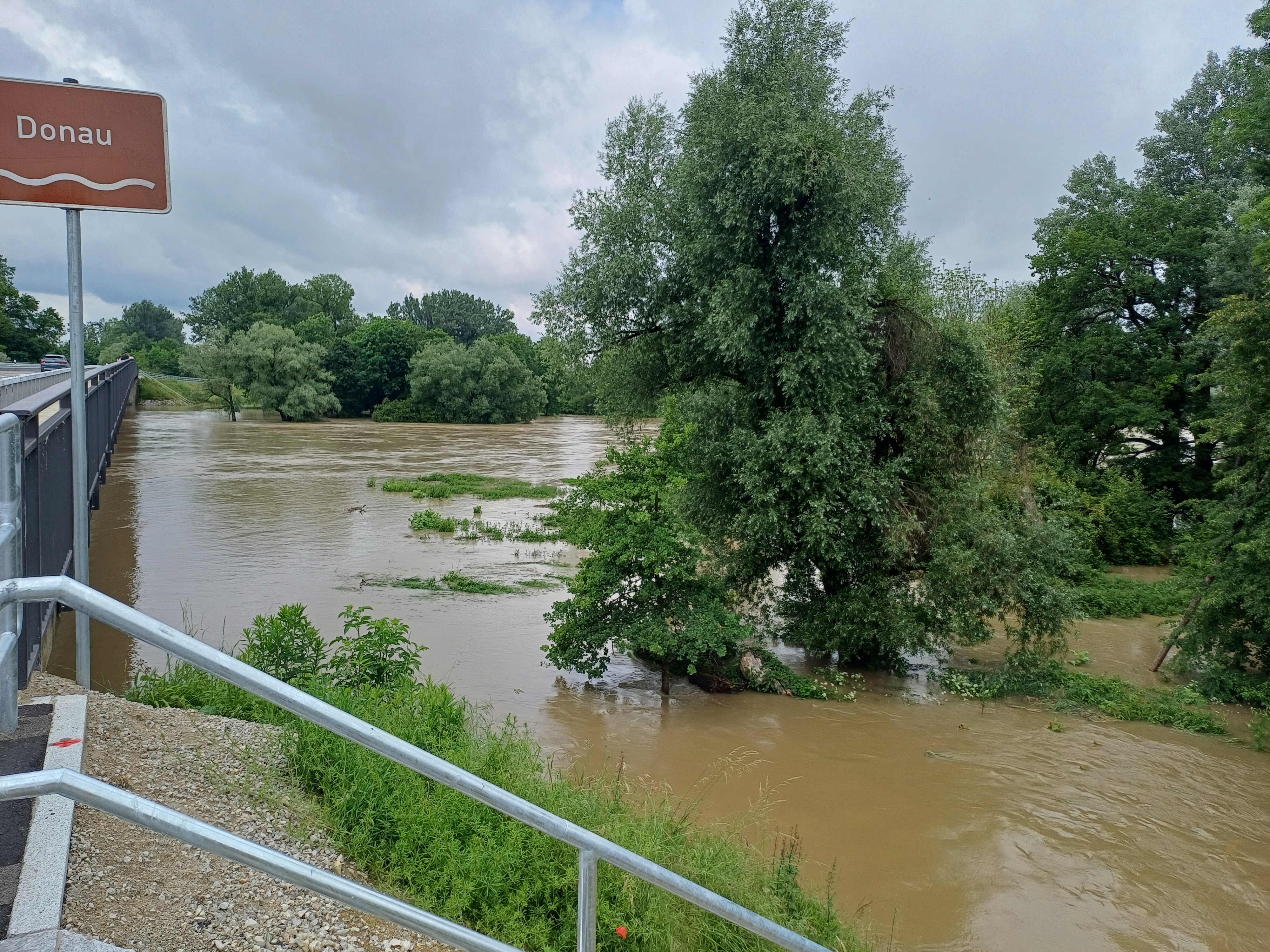 Hochwasser 2024 bei Bertoldsheim Hochwasser 2024 bei Bertoldsheim
