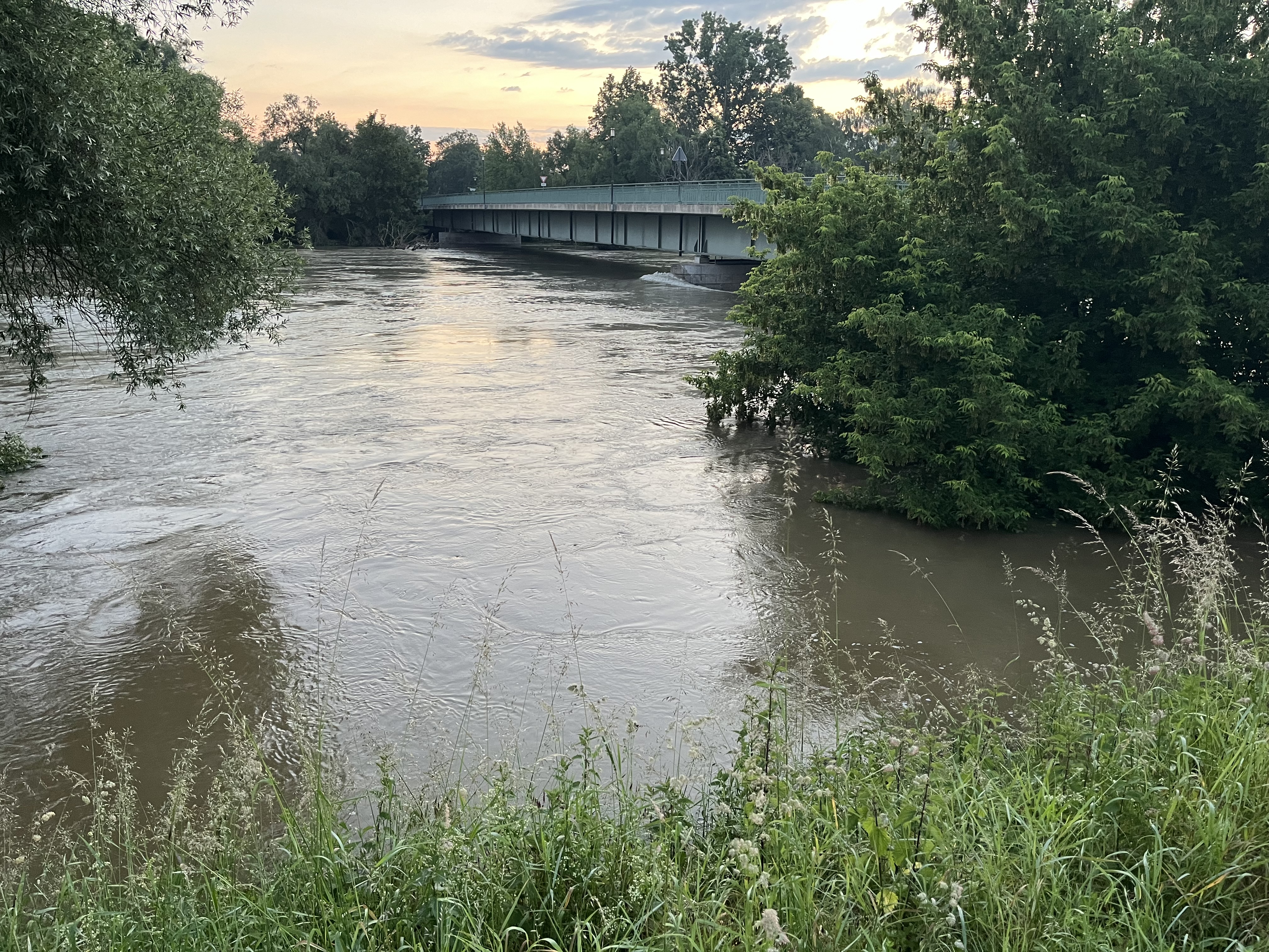 Hochwasser 2024 bei Großmehring