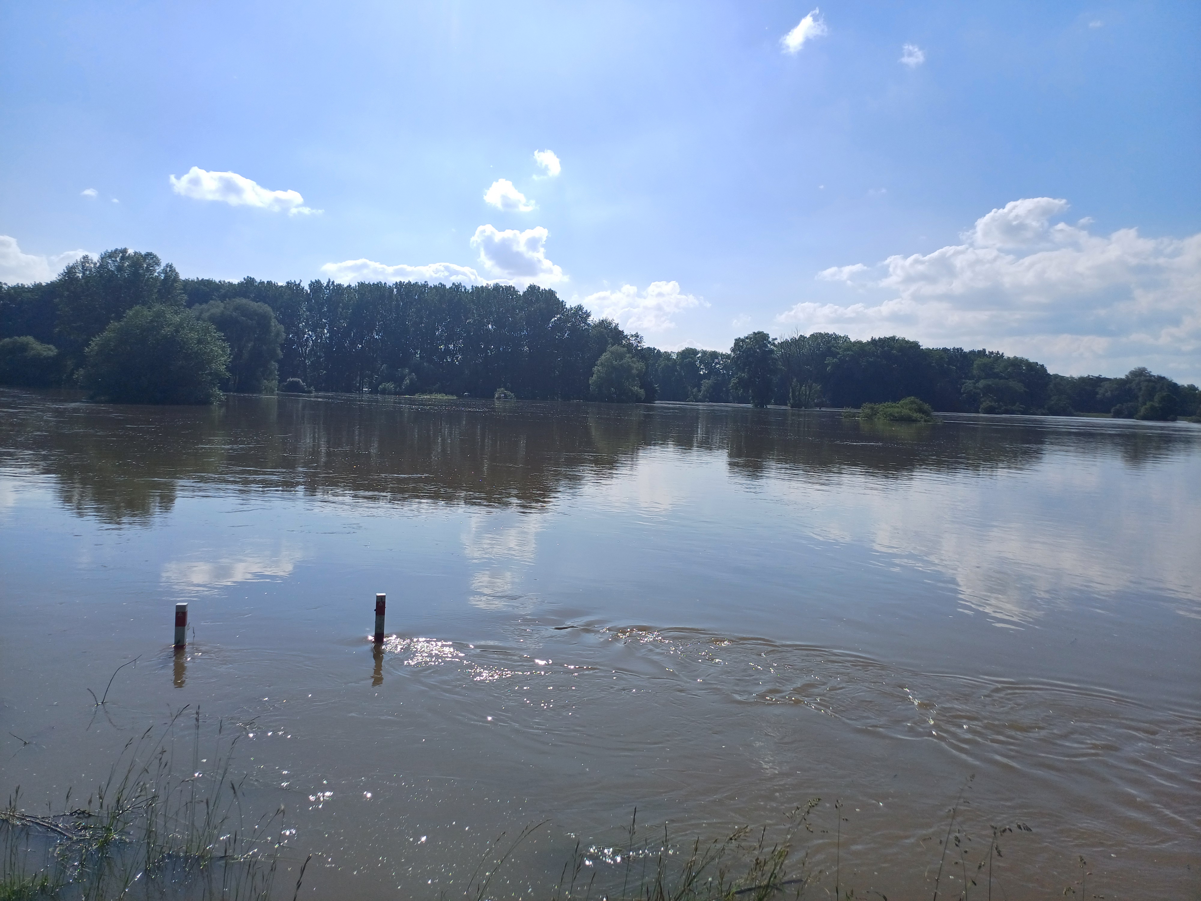 Hochwasser 2024 bei Katzau Hochwasser 2024 bei Katzau