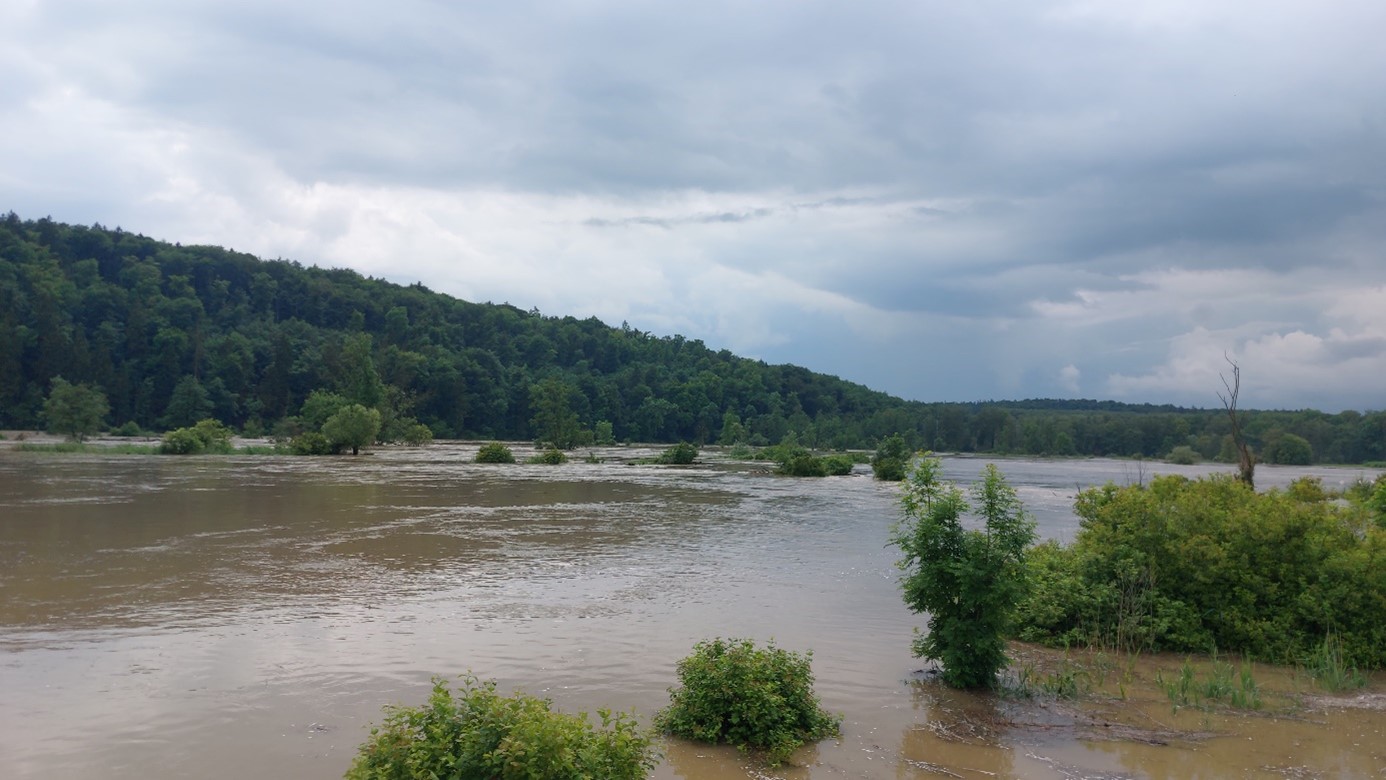 Hochwasser 2024 der Donau bei Riedensheim