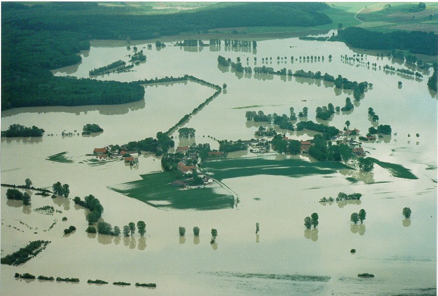 Moos bei Pfingsthochwasser 1999