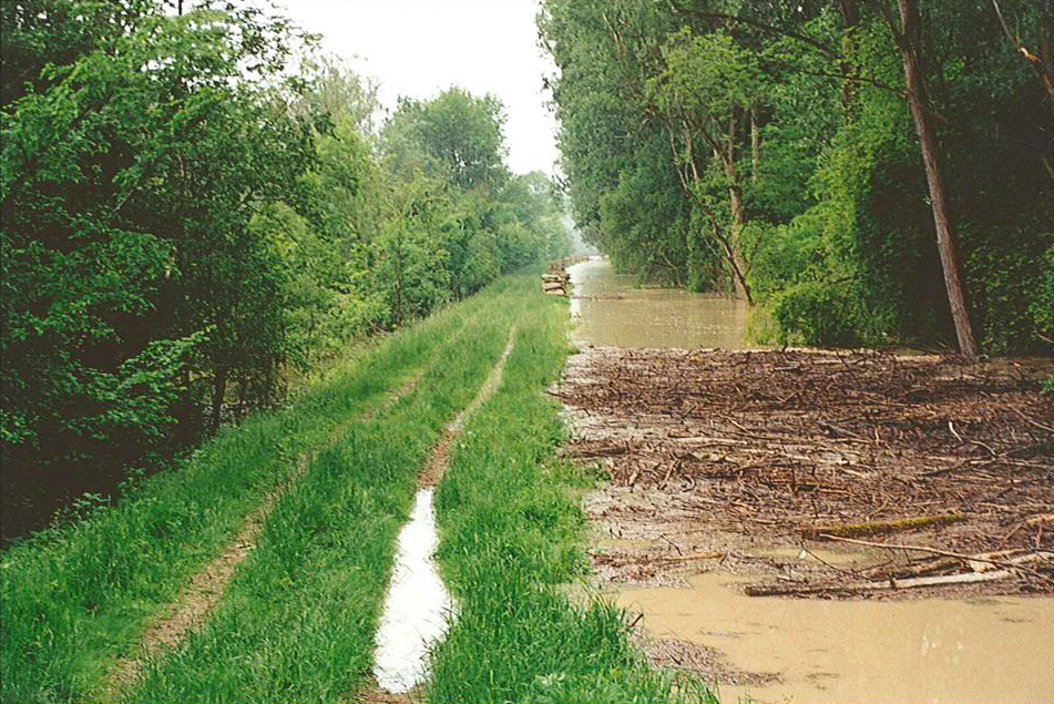 Mitteldeich beim Pfingsthochwasser 1999
