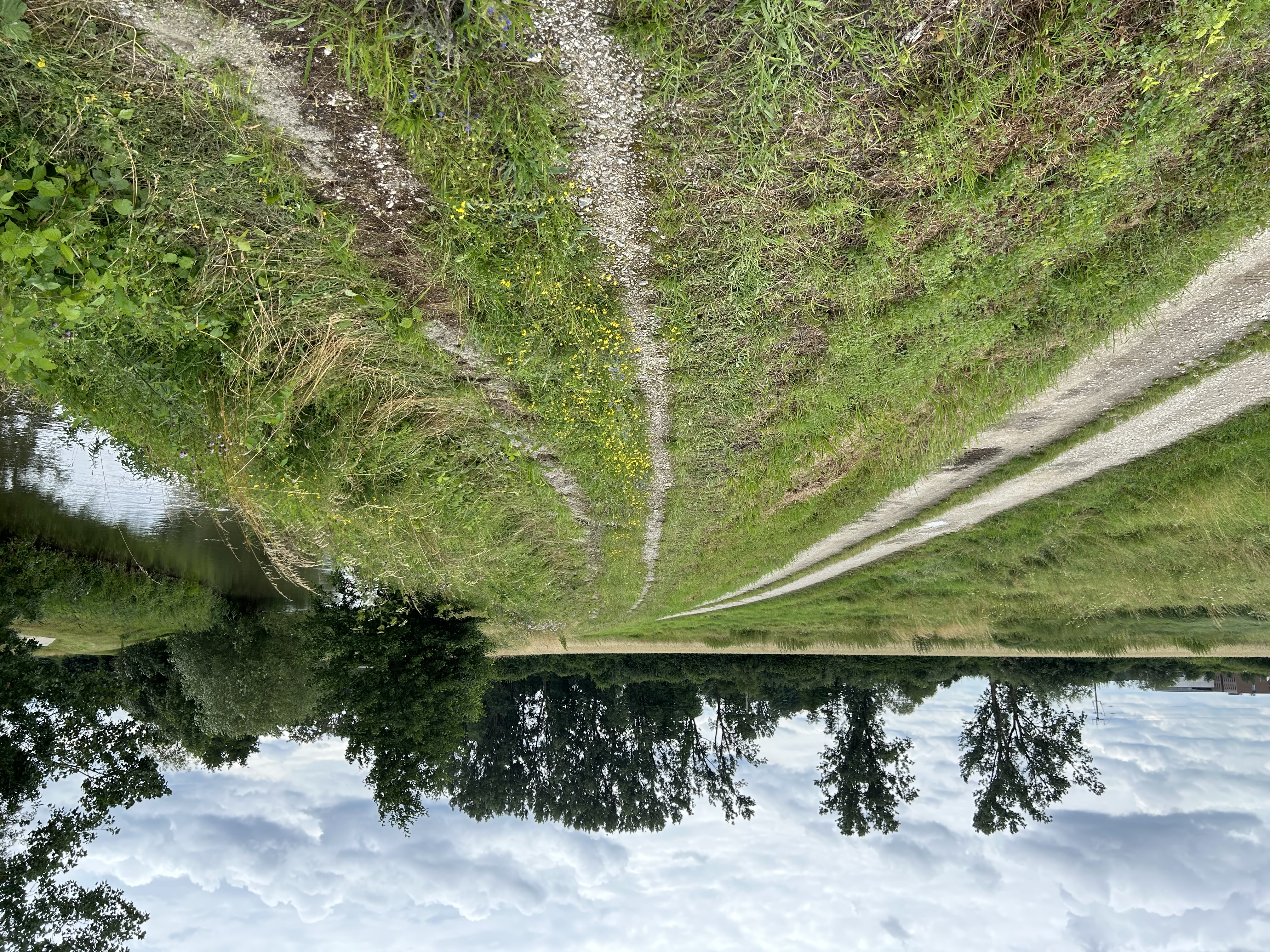 Ilmdeich bei Hartacker