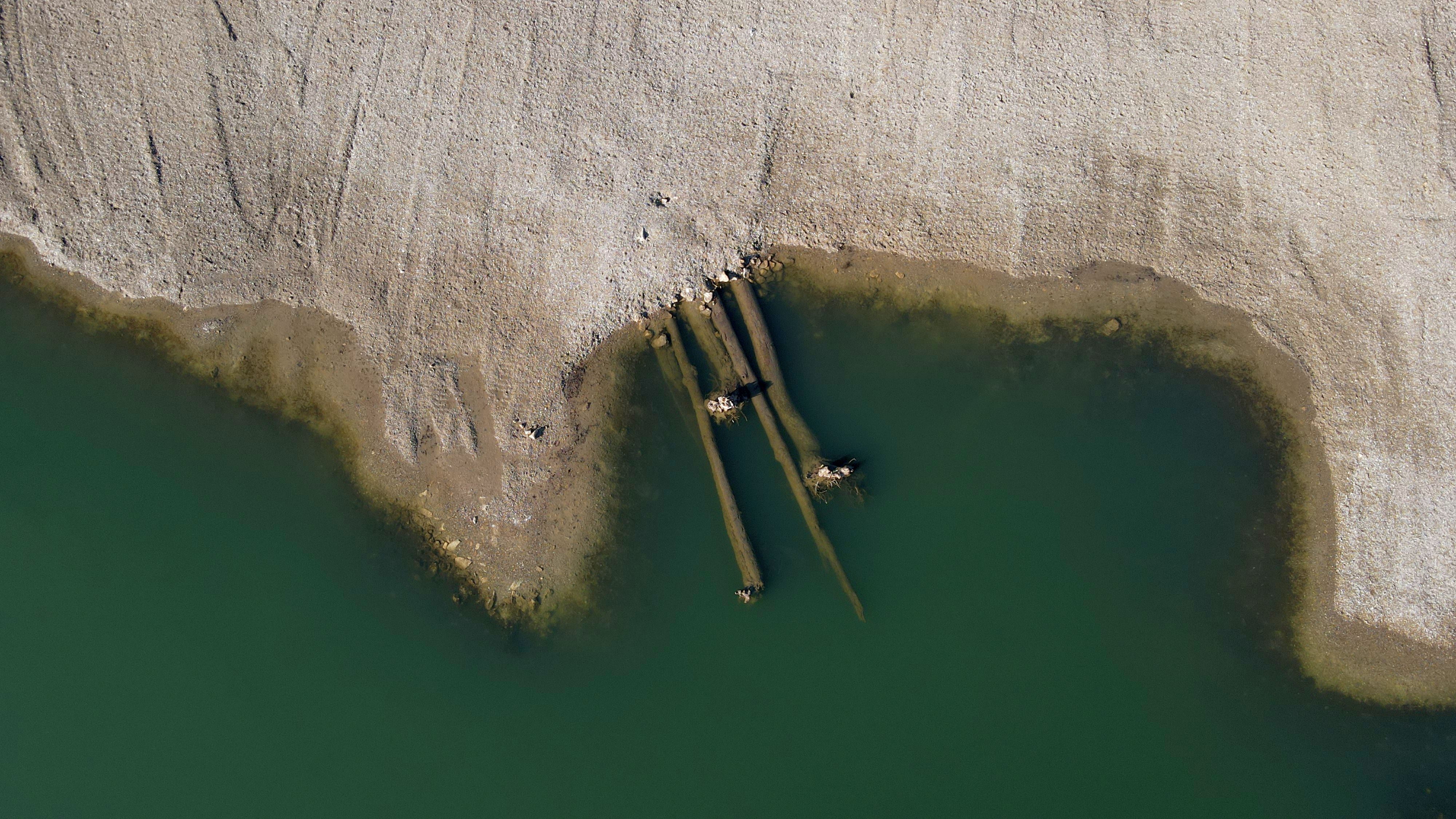 Einbau von Totholz als Schutzraum für Fische