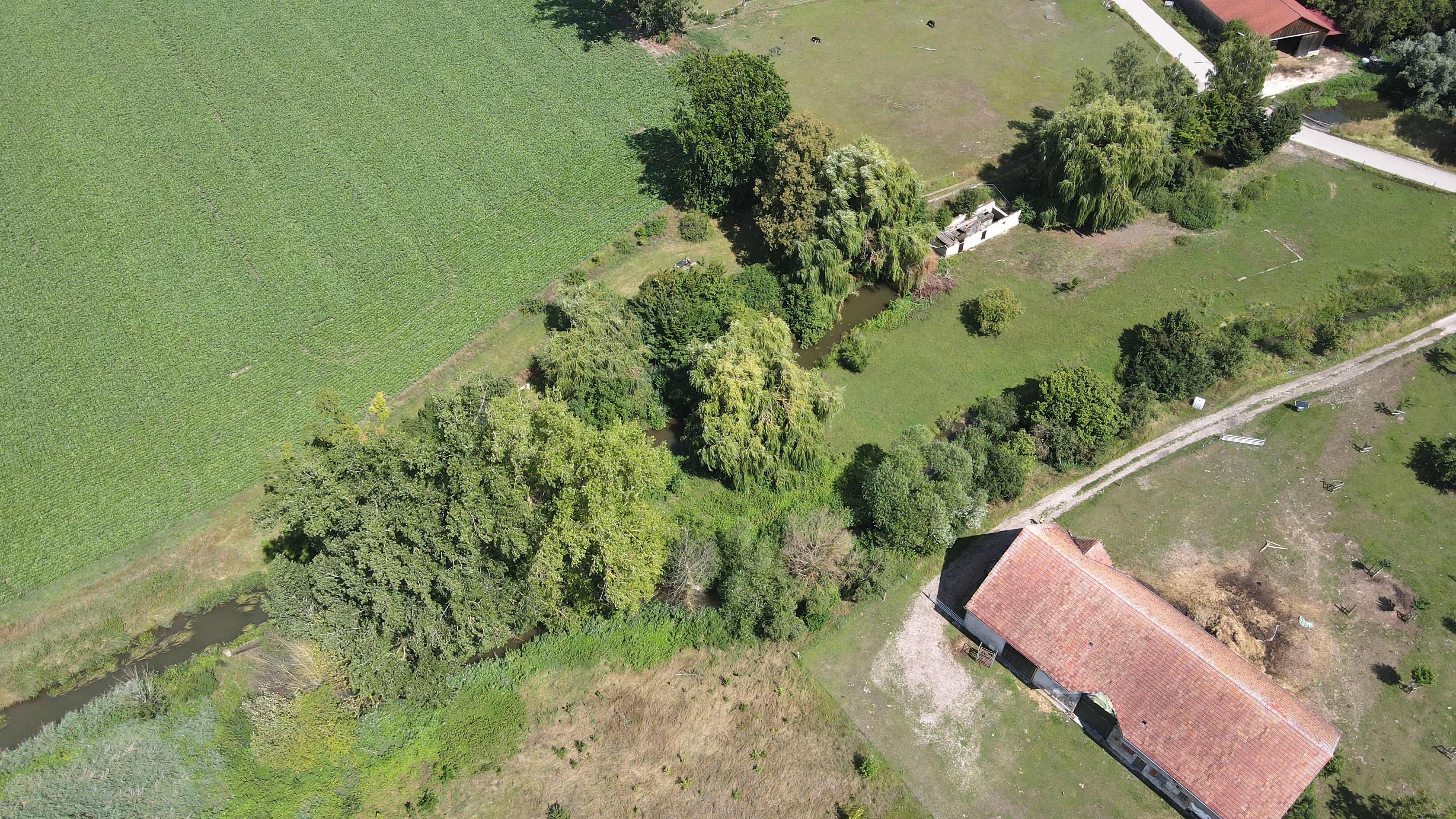 Ausgangszustand vor den Umbaumaßnahmen (23.07.2025)