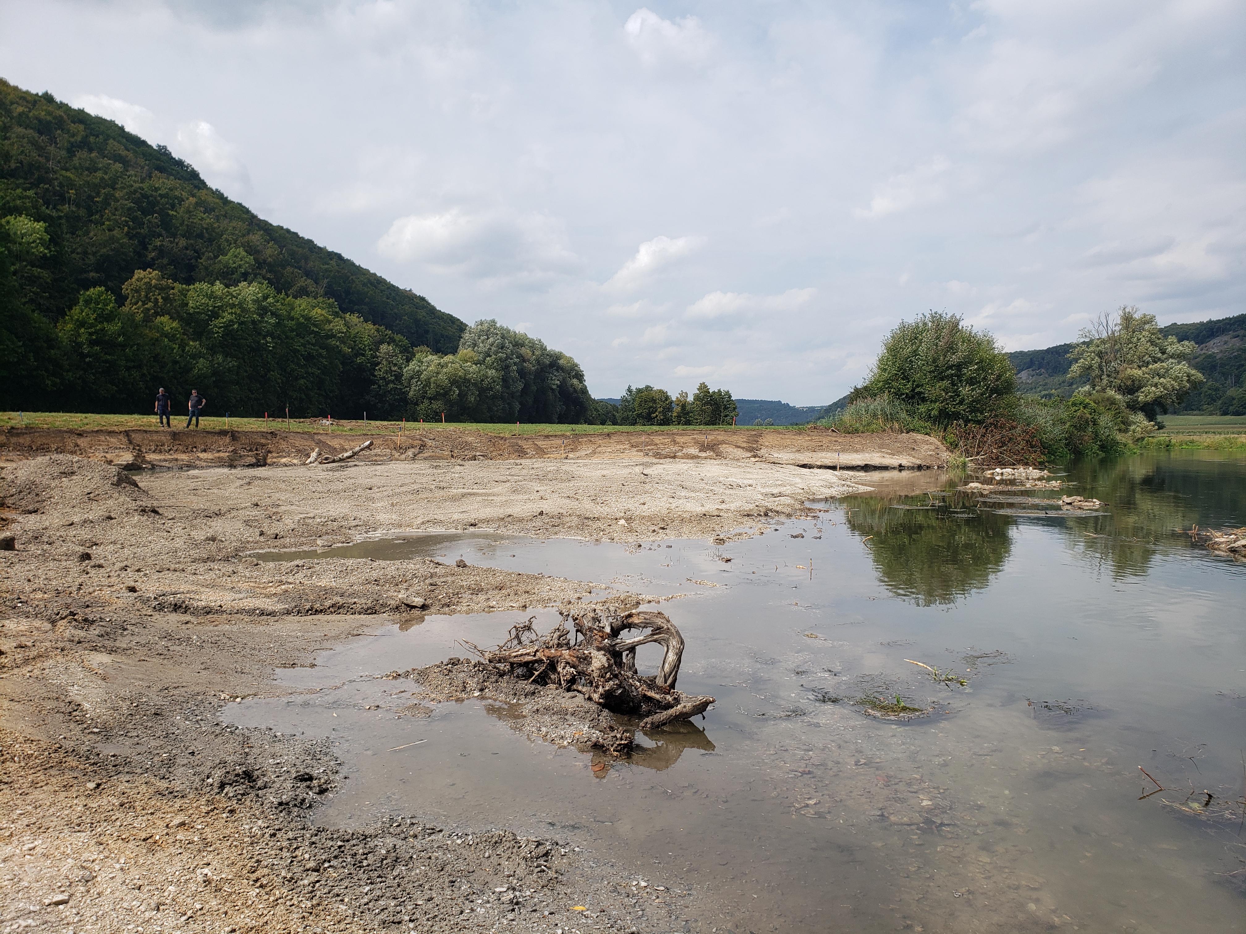 Einbau von Totholzstrukturen als Nahrungsquelle und Lebensraum für Fische und wirbellose Gewässertiere Einbau von Totholzstrukturen als Nahrungsquelle und Lebensraum für Fische und wirbellose Gewässertiere