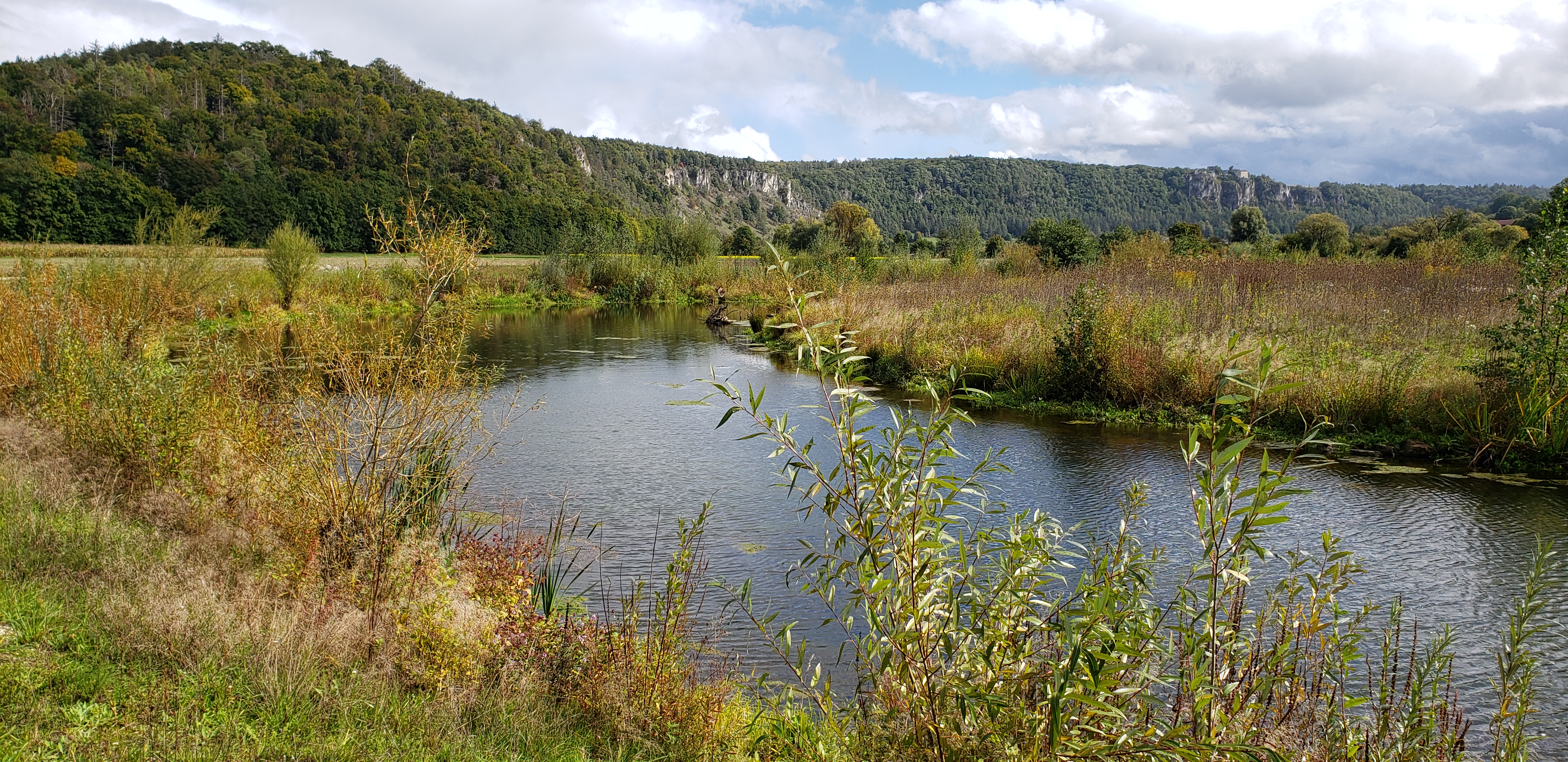 Altarm im September 2022 mit Blick nach Südosten auf die Arnsberger Leiten