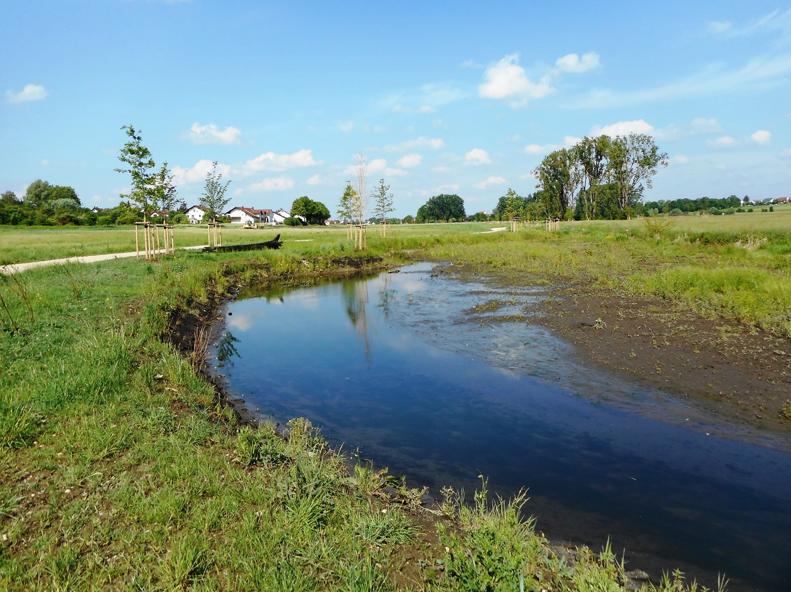 Renaturierter Retzbach mit Flachwasserzonen