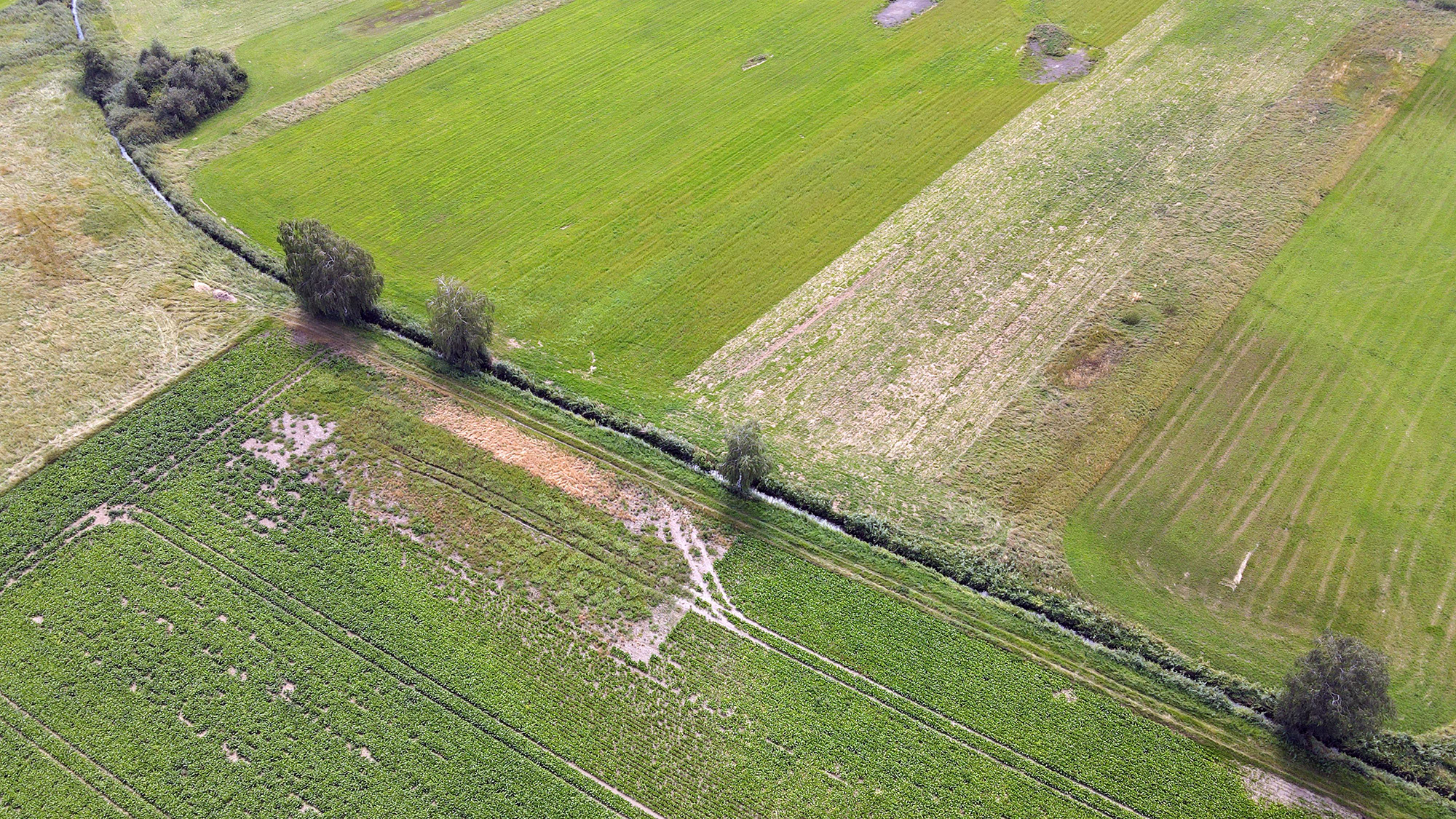 Begradigter und strukturarmer Lentinger Bach südlich der Lentinger Mühle (01.08.2024)