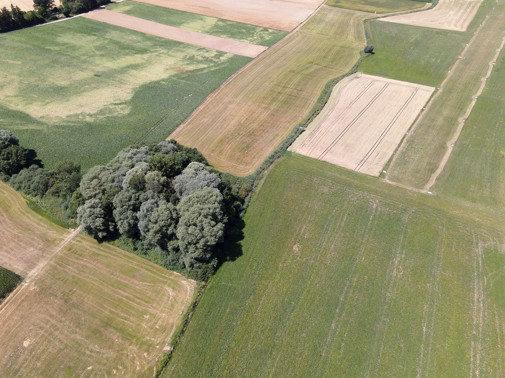 Begradigter Leitenbach „Bereich Leitenbachwiesen““ vor dem Ausbau (15.07.2022) Begradigter Leitenbach „Bereich Leitenbachwiesen““ vor dem Ausbau (15.07.2022)