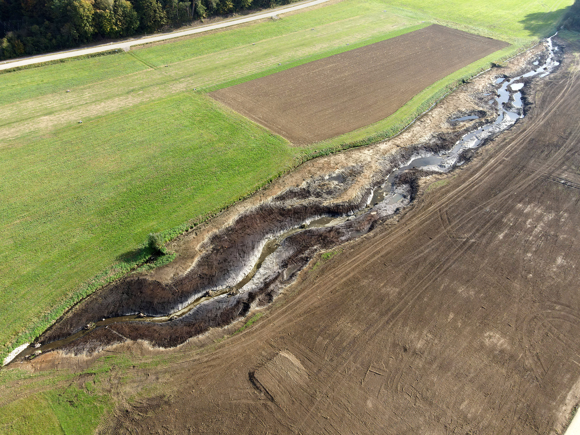 Ökologisch ausgebauter Leitenbach „Bereich Leitenbachwiesen“ (23.10.2023) Ökologisch ausgebauter Leitenbach „Bereich Leitenbachwiesen“ (23.10.2023)