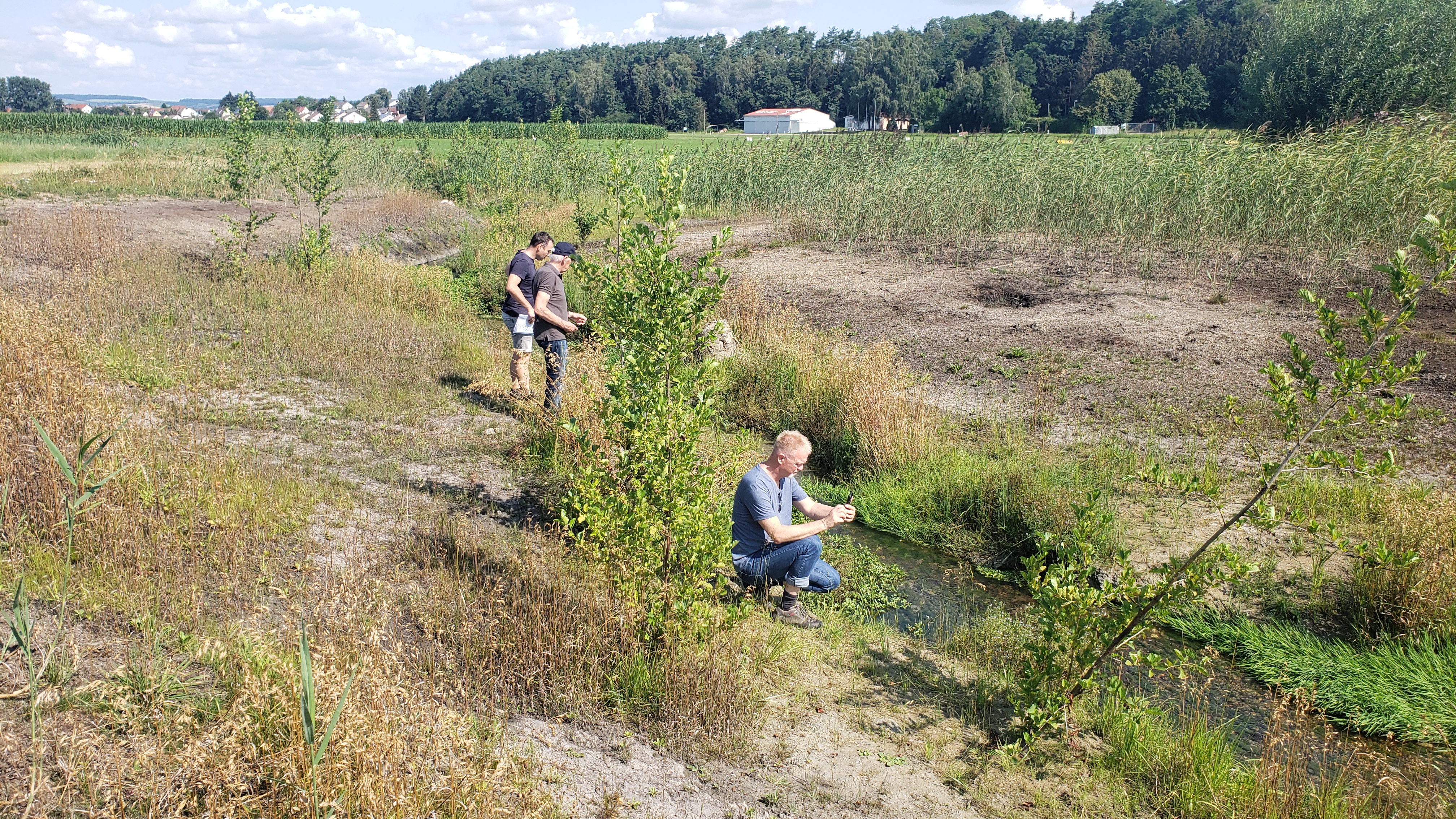 Leitenbach „Bereich Leitenbachwiesen“ etwa 1 Jahr nach der naturnahen Umgestaltung (25.07.2024) Leitenbach „Bereich Leitenbachwiesen“ etwa 1 Jahr nach der naturnahen Umgestaltung (25.07.2024)
